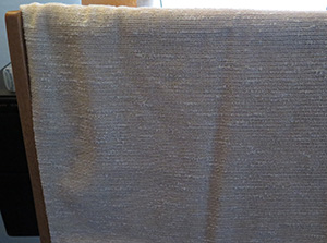 THis shows the original speaker cloth